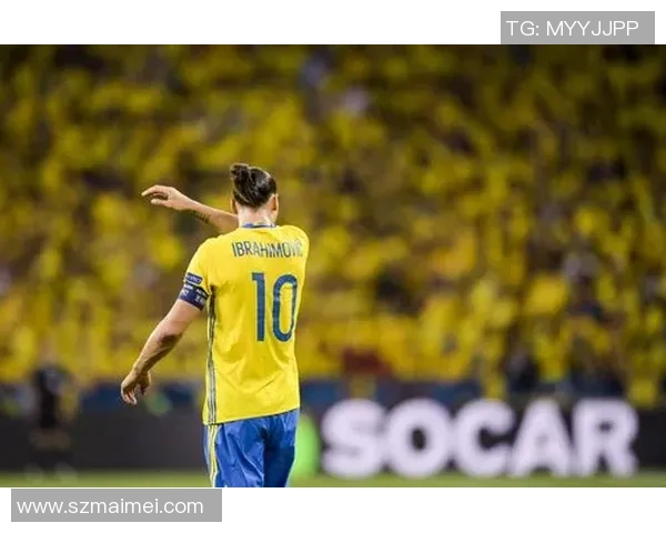 足球明星法国奉先的传奇之路与辉煌成就解析